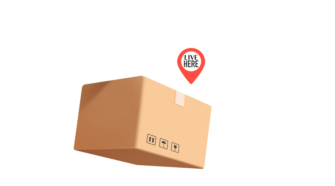 We Live Outside the Box